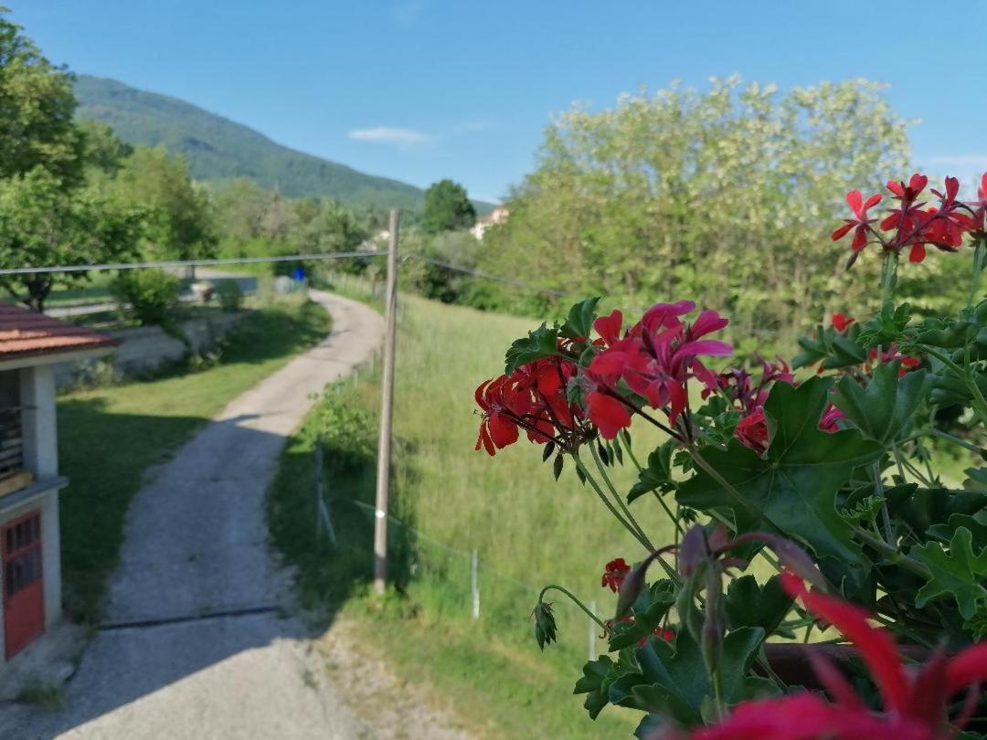 La Soffitta Di Anita Villa Bedonia Екстериор снимка